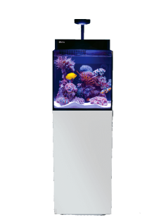 RS MAX® NANO - fully featured open top aquarium (75L, cabinet), white